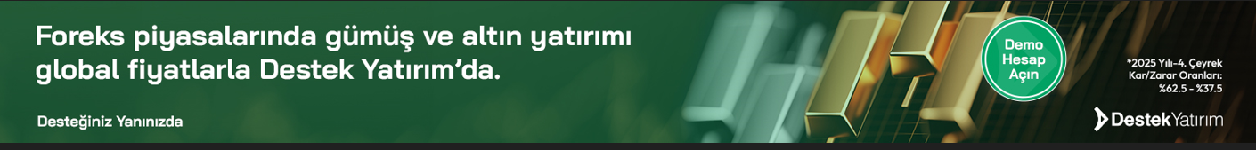 Destek Yatırım - Foreks