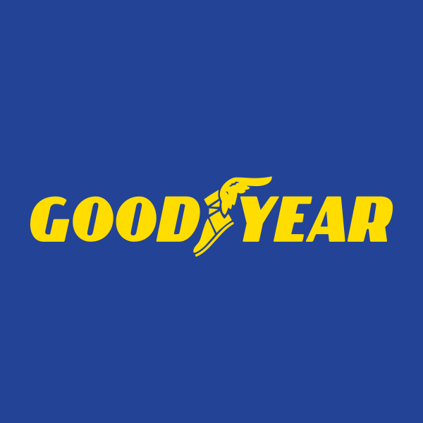 GOODYEAR LASTİKLERİ T.A.Ş.